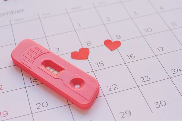 Owulacja - wszystko co powinnaś o niej wiedzieć